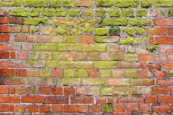 Red,Brick,Wall,Partly,Covered,In,Green,Moss.,Colorful,Background