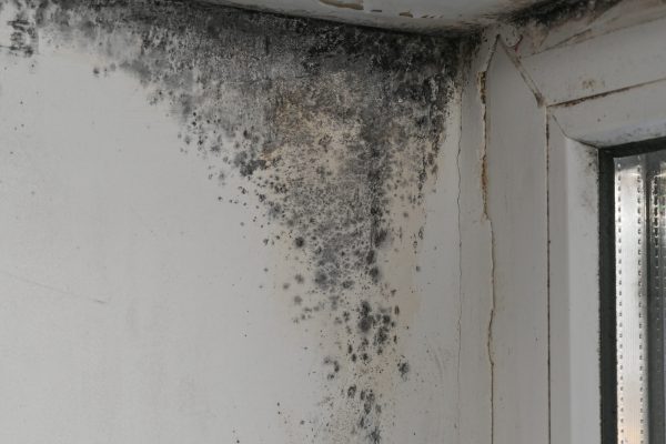 Mold,Growth,On,Wall,And,Window,Corner,,Spreading,From,Damp